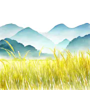晨风拂过稻浪 - AI音乐作品封面